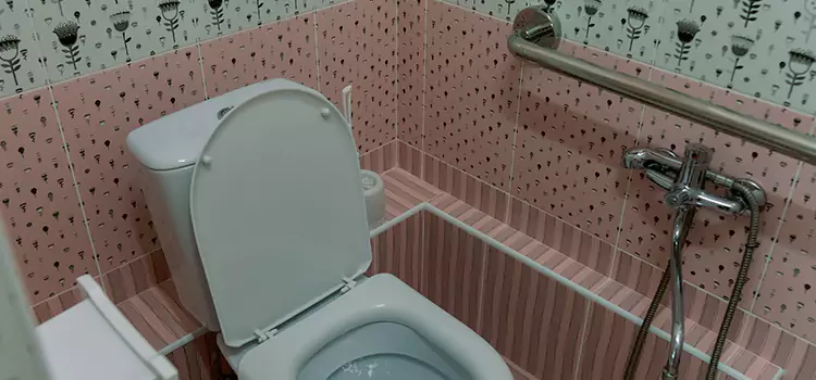 Meeting Diverse Needs With Accessible Restroom Solutions in Brent, FL