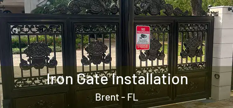 Iron Gate Installation Brent - FL